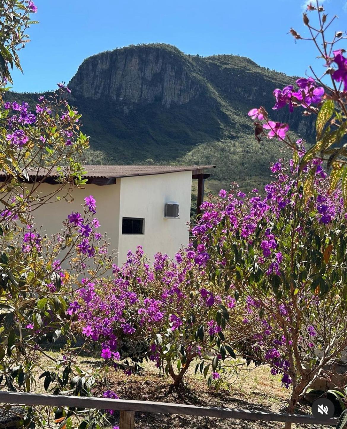 Pousada Rancho Dos Ipes Alto Paraíso de Goiás المظهر الخارجي الصورة