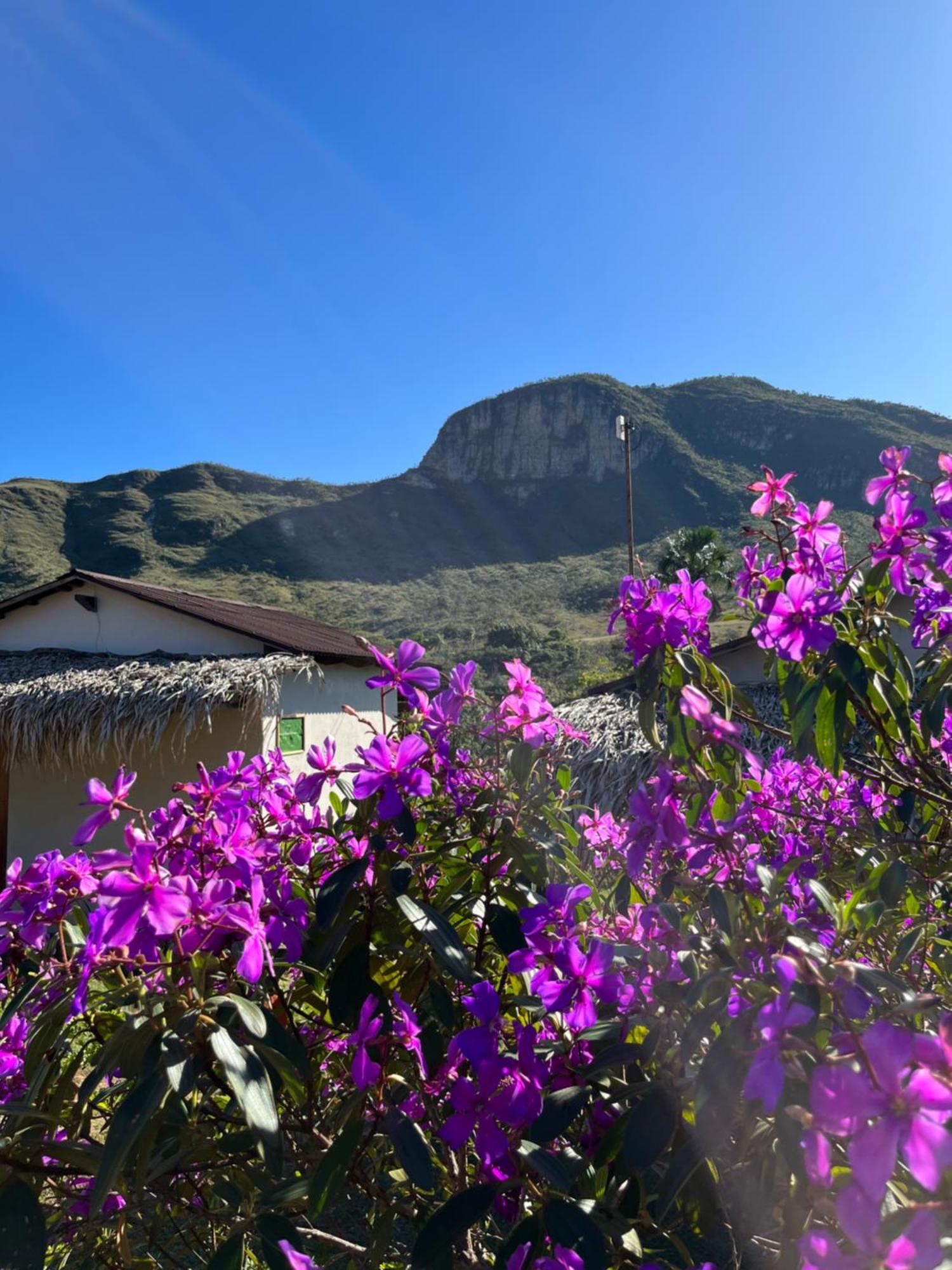 Pousada Rancho Dos Ipes Alto Paraíso de Goiás الغرفة الصورة