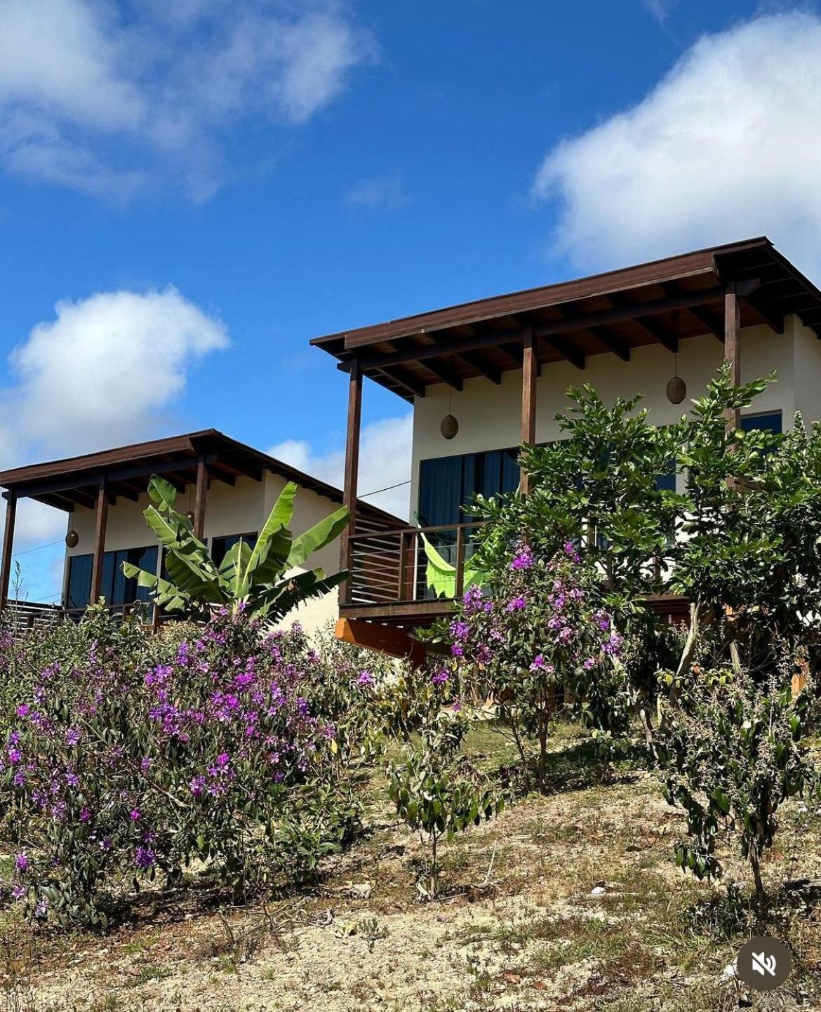 Pousada Rancho Dos Ipes Alto Paraíso de Goiás المظهر الخارجي الصورة