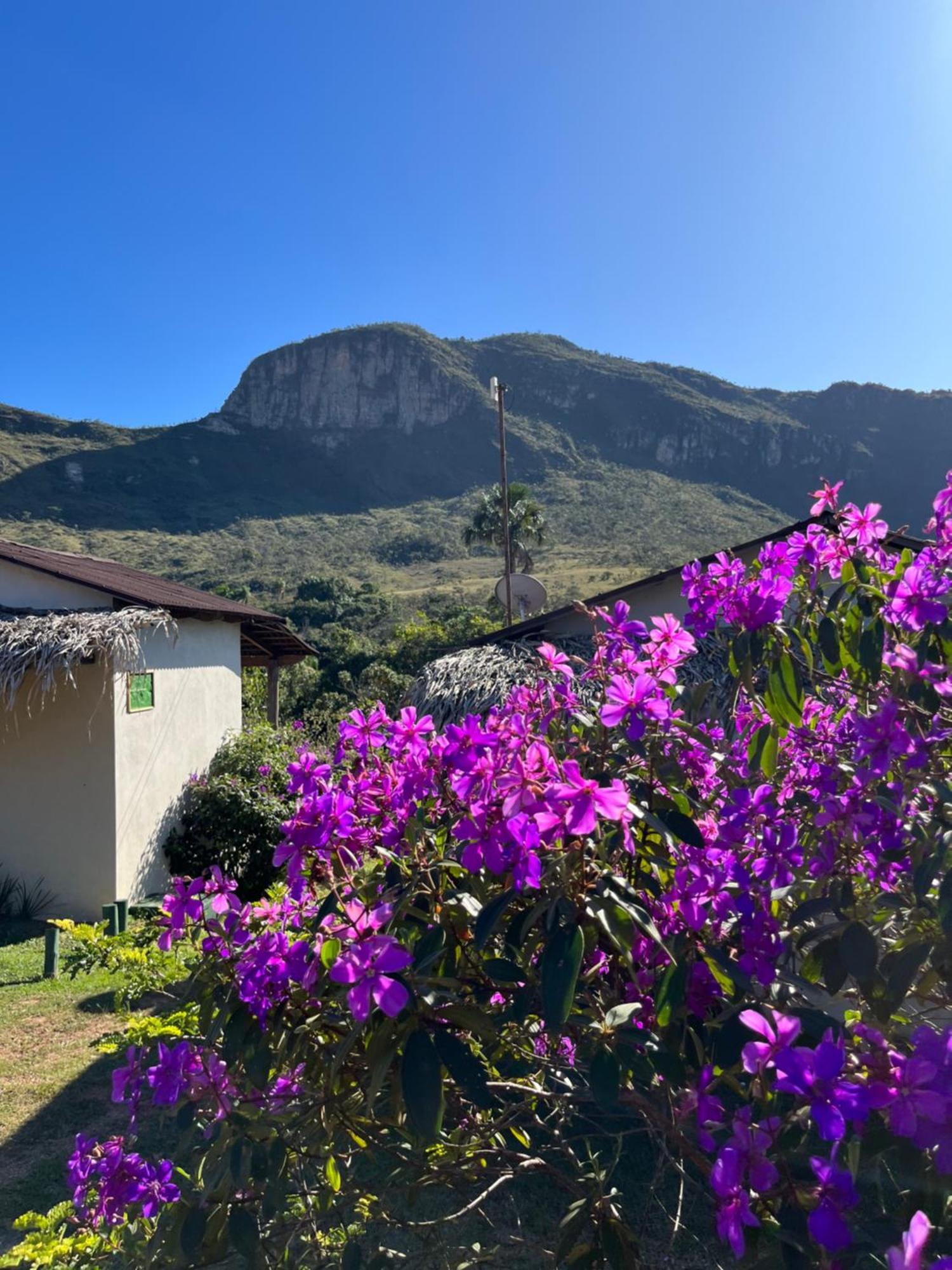 Pousada Rancho Dos Ipes Alto Paraíso de Goiás المظهر الخارجي الصورة
